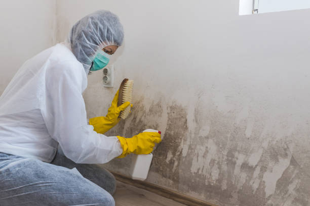 Best Crawl Space Mold Removal  in Arizona City, AZ
