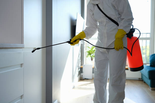 Best Certified Mold Removal  in Arizona City, AZ