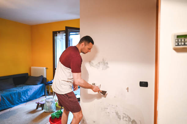 Attic Mold Removal in Arizona City, AZ